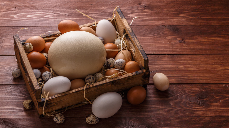 egg varieties in a wooden box