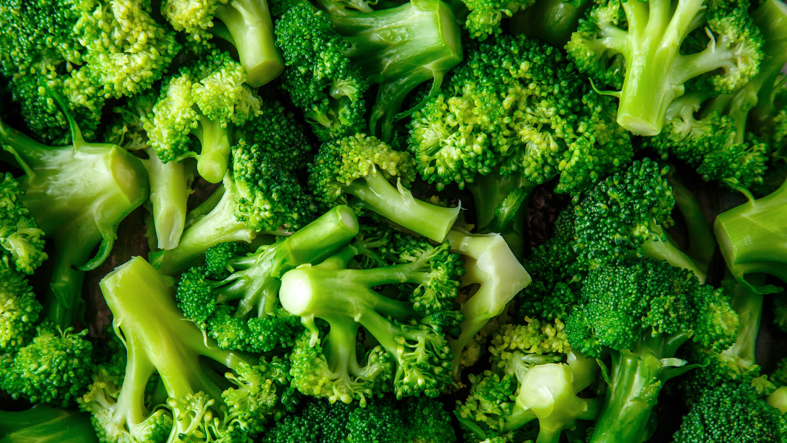 Why You Probably Won't Find Canned Broccoli At The Grocery Store