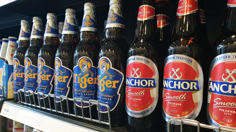 Bottles of beer on a shelf