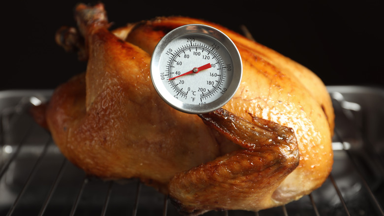 Whole turkey with food thermometer.