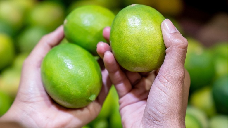 person holding limes