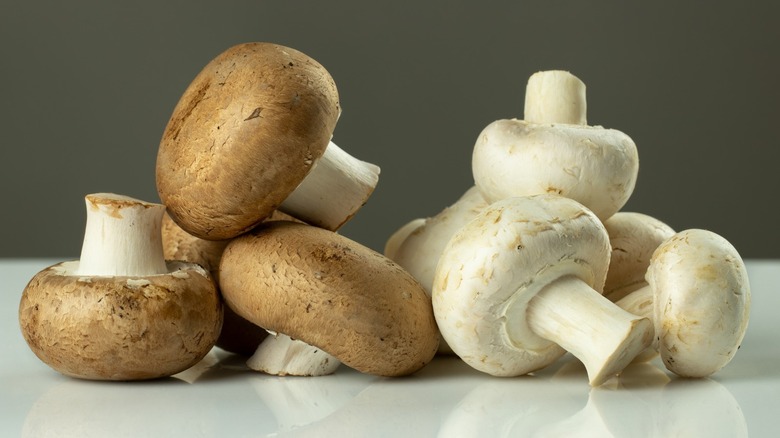 brown and white mushrooms