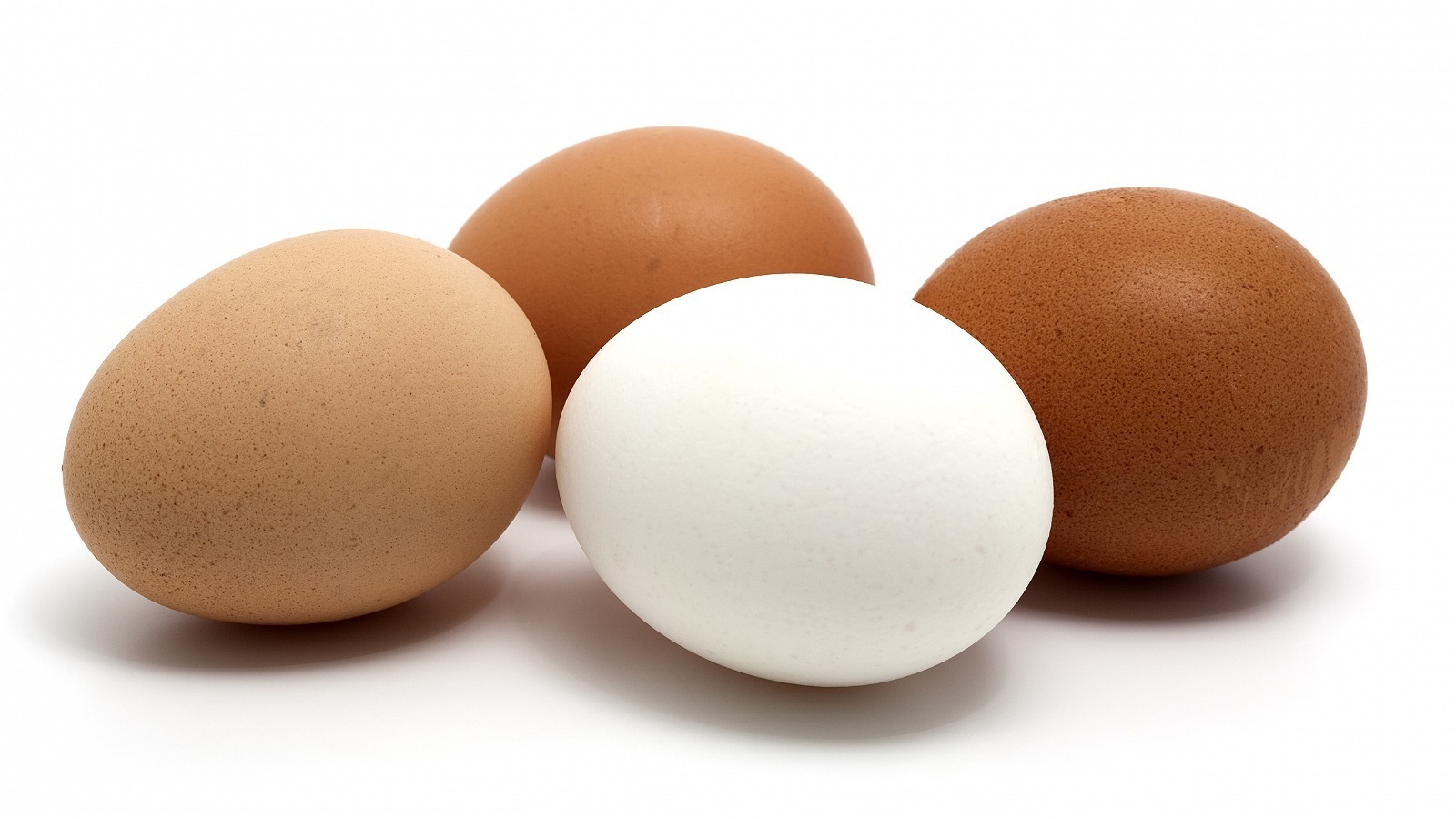 Why You Should Be Storing Eggs Sideways