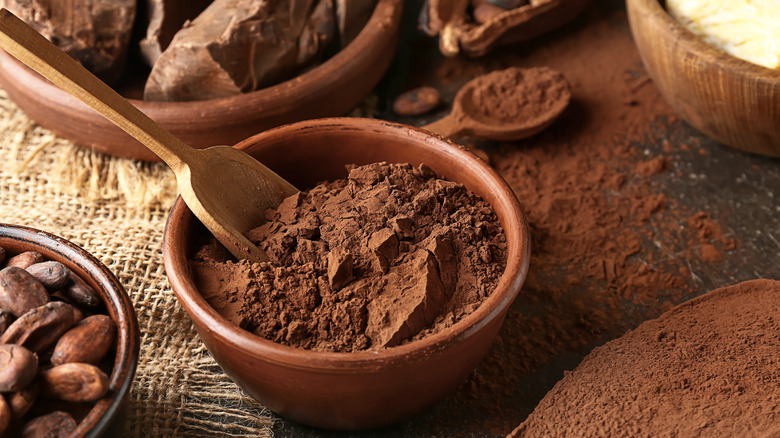 Bowl of cocoa powder