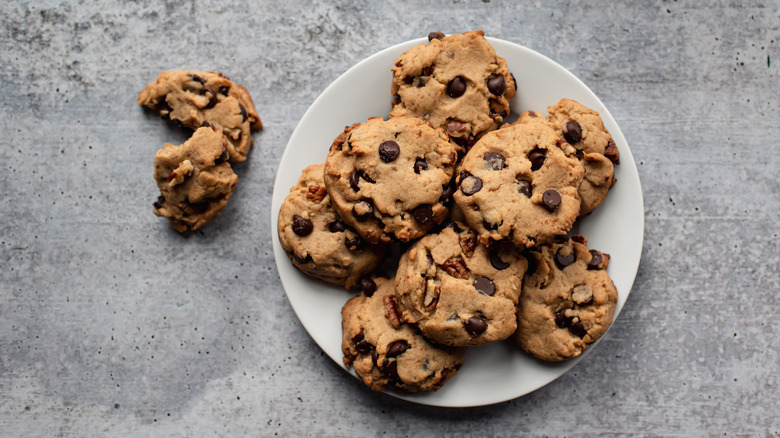Plate of chocolate chip cookies 