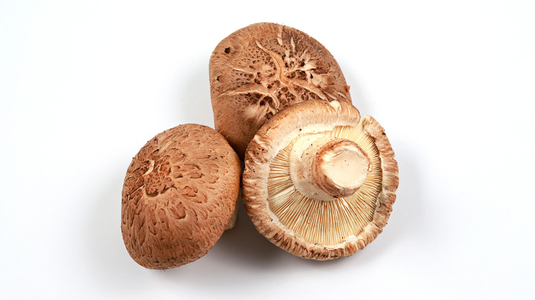 Portobello mushrooms on white background