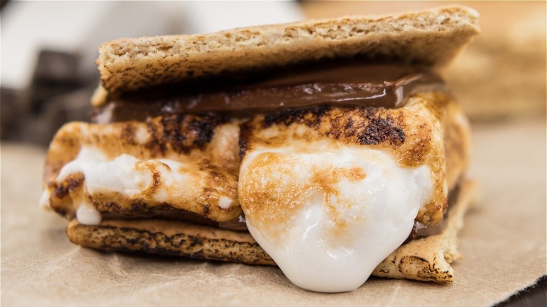 gooey s'mores with toasted marshmallow