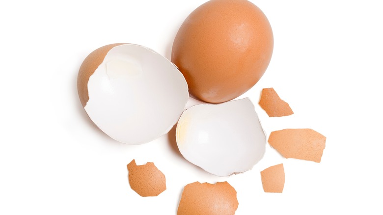 cracked eggshells 