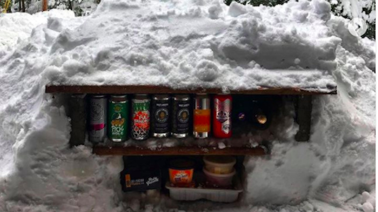Cans of beer and other food items on a shelf in the snow.