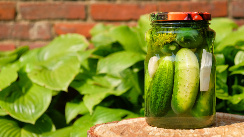 Jar of homemade pickles