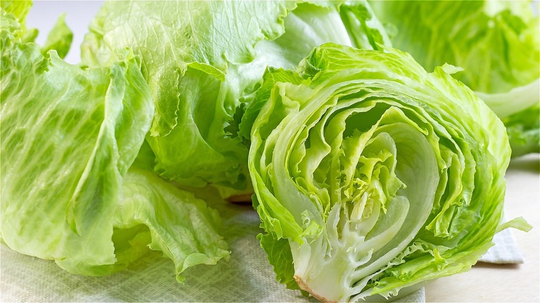 Crispy iceberg lettuce