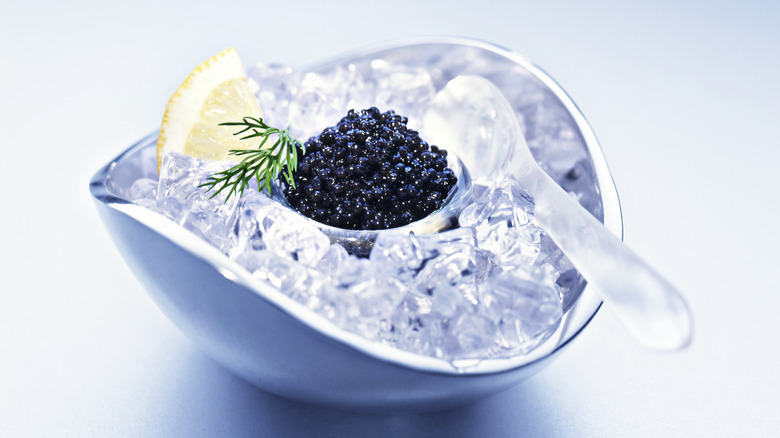 caviar on ice 