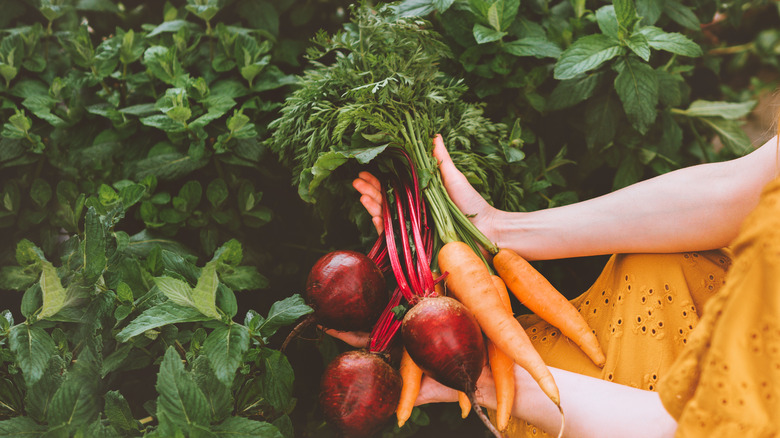 Woman holding beets and carrots