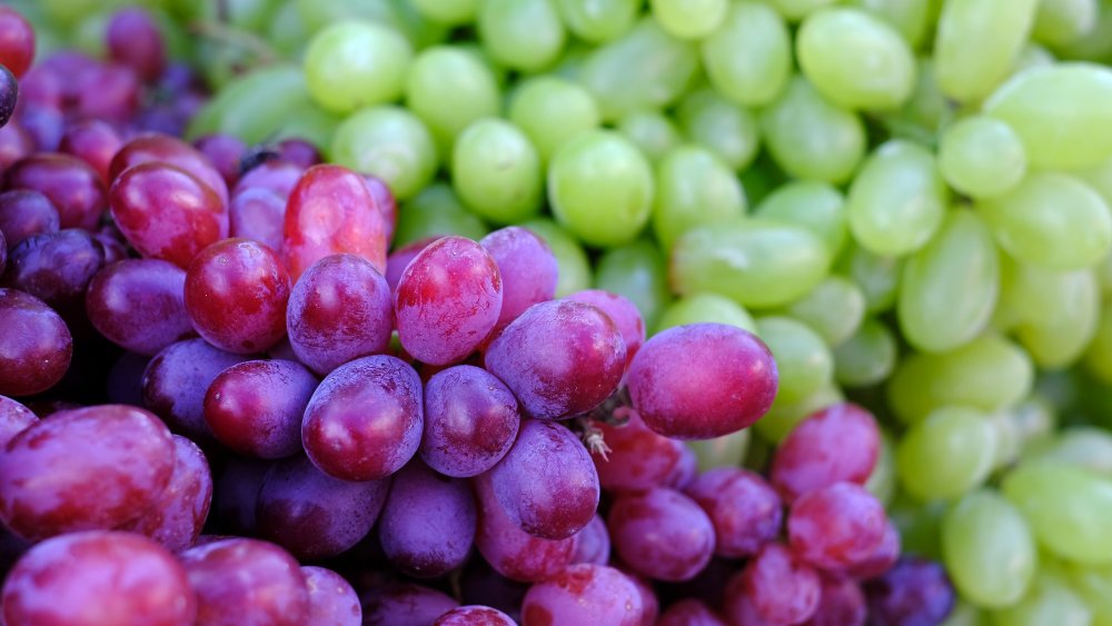 Bunches of grapes