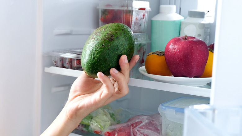 Hand holding an avocado in front of a refrigerator 