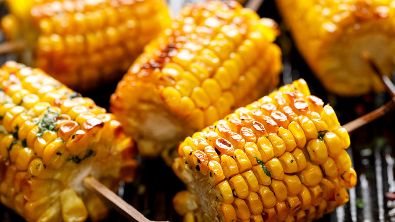 Seasoned grilled corn on the cob