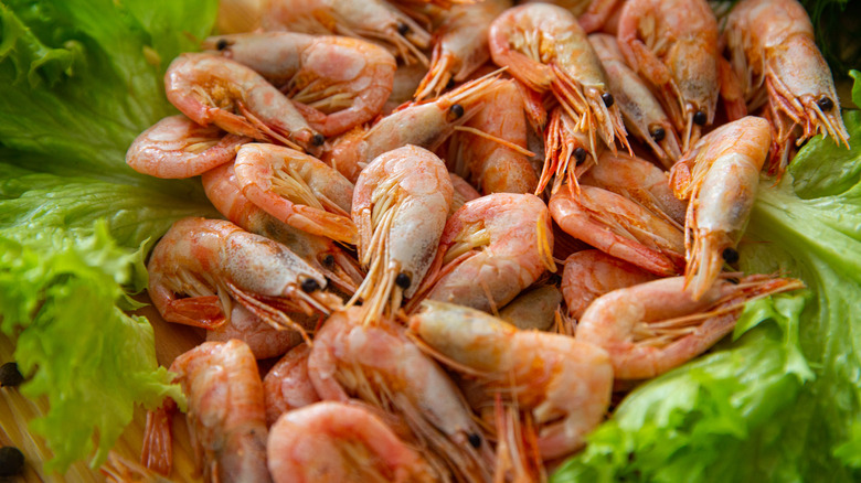 Frozen shrimps
