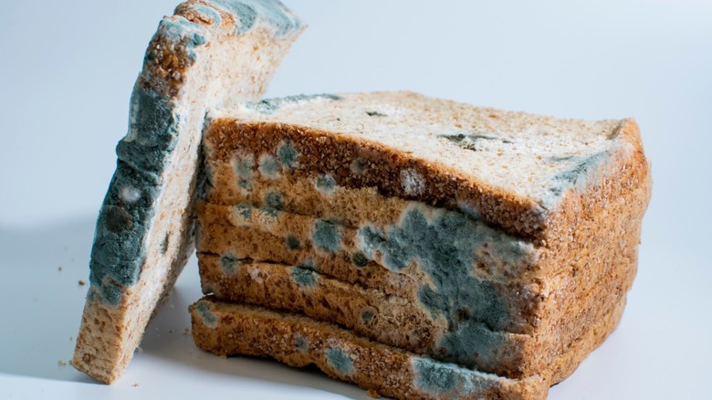 Several slices of moldy bread