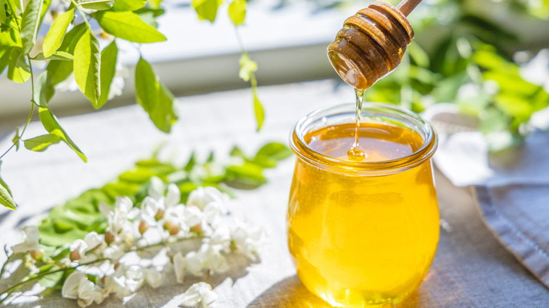 Jar of honey surrounded by greenery