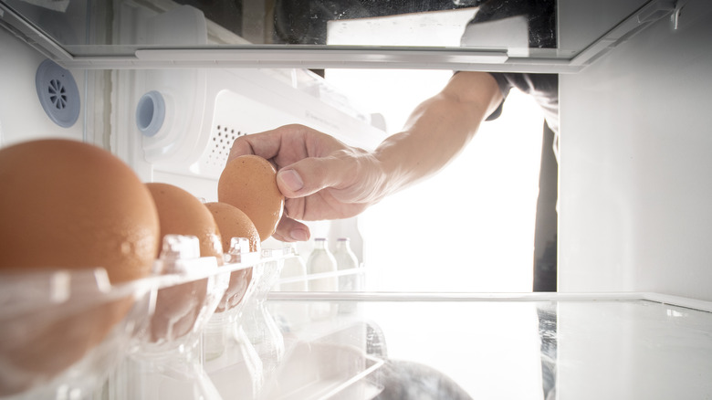 egg refrigerator storage