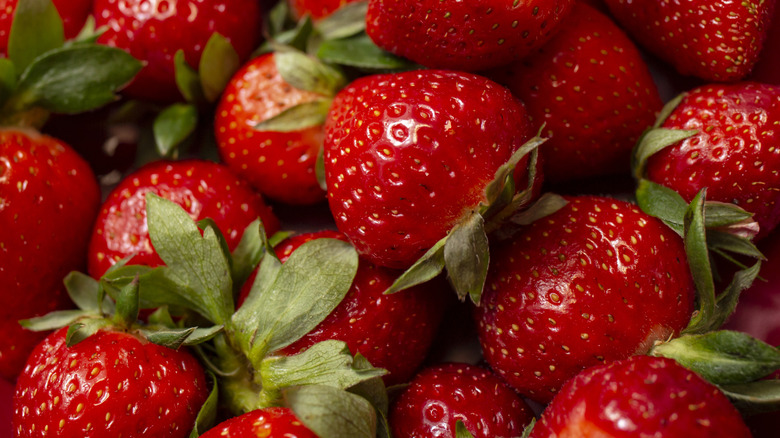 Close-up of fresh strawberries with tops