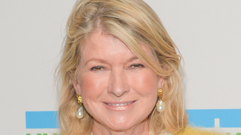 Martha Stewart closeup