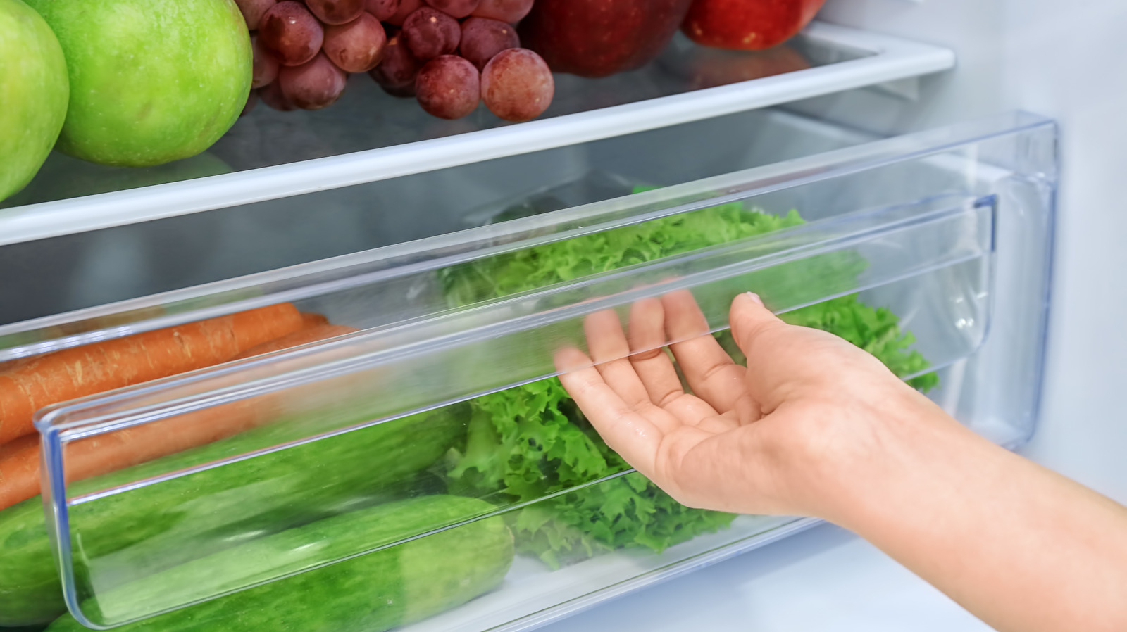 Why Your Fridge's Drawers Are Always Sticking (And How To Fix It)
