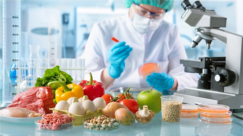 scientist inspecting food in lab