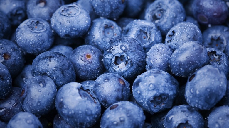 close-up of blueberries
