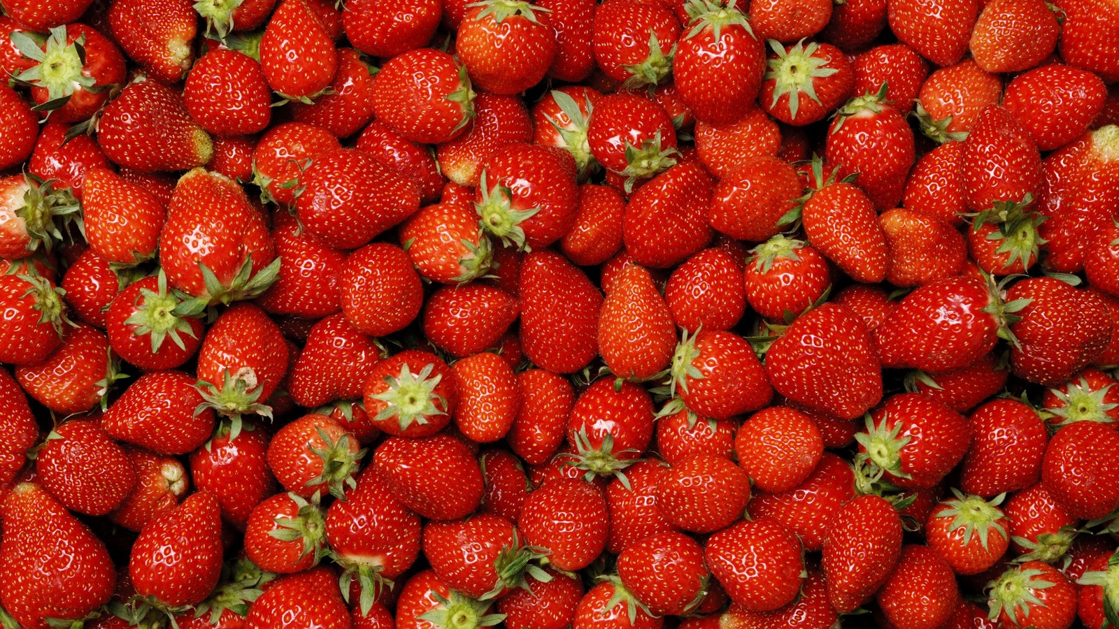 Wild Vs Store-Bought Strawberries: What's The Difference?
