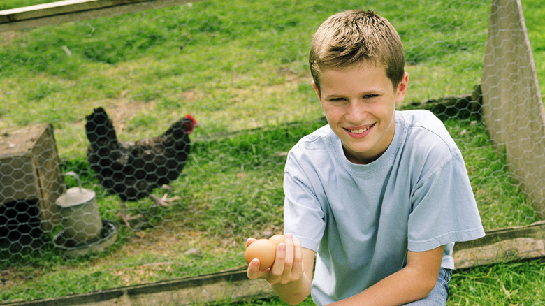 boy holding a fresh egg