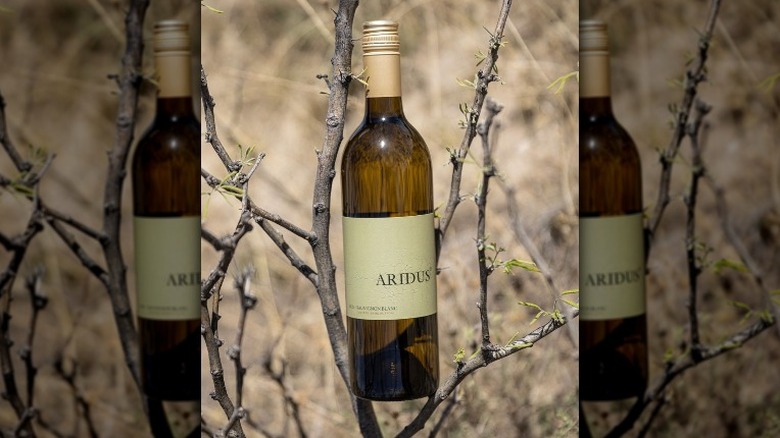 Aridus Sauvignon Blanc wine bottle