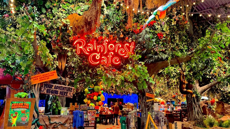 Rainforest Cafe entrance