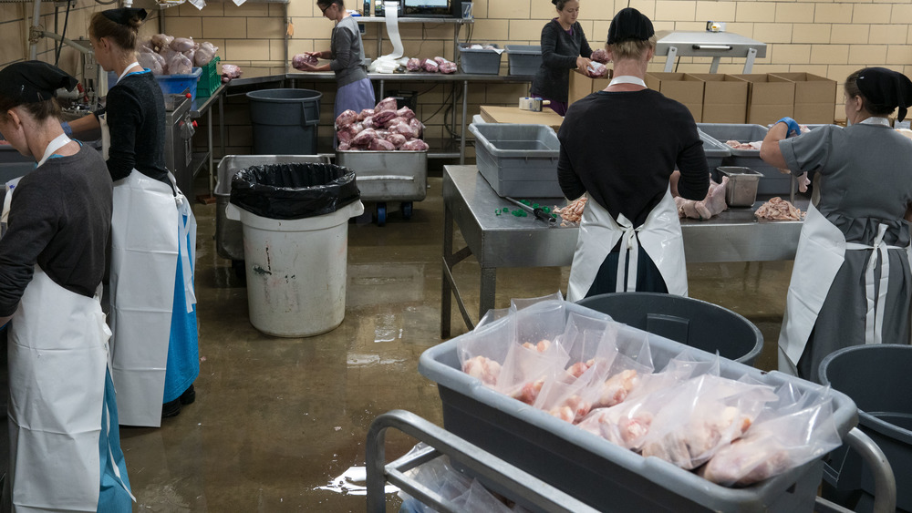 Workers at chicken processing plant