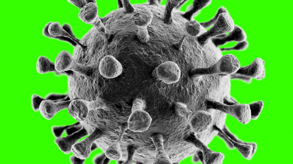 coronavirus 