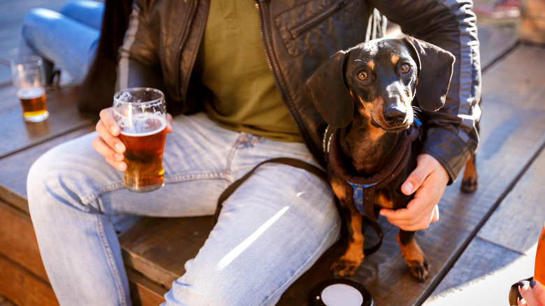 Man drinking beer with dog