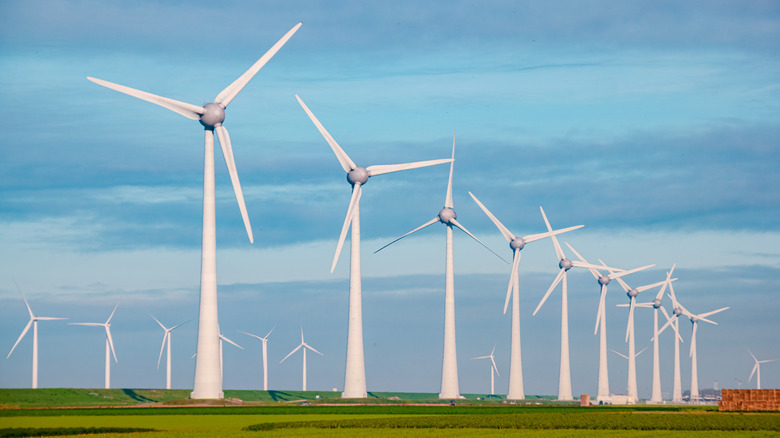 Line of wind turbines