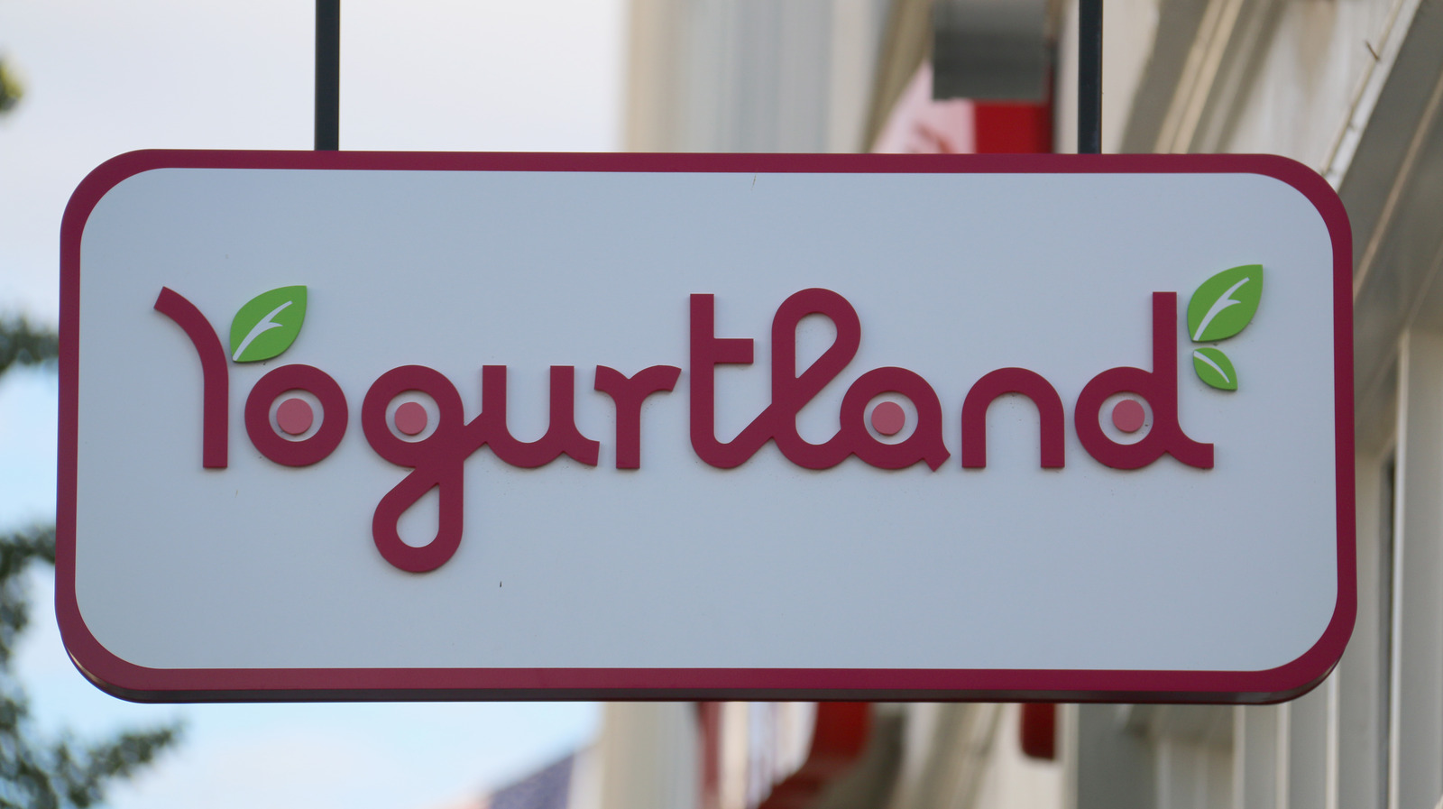 Yogurtland CEO Phillip Chang Dishes On All Things Frozen Yogurt Exclusive Interview
