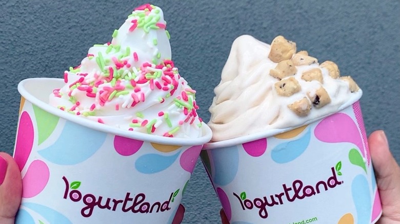 Yogurtland frozen yogurt