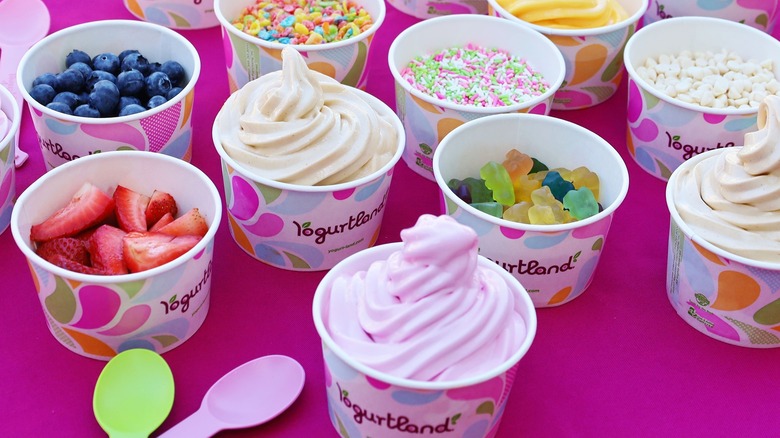 Yogurtland frozen yogurt and toppings