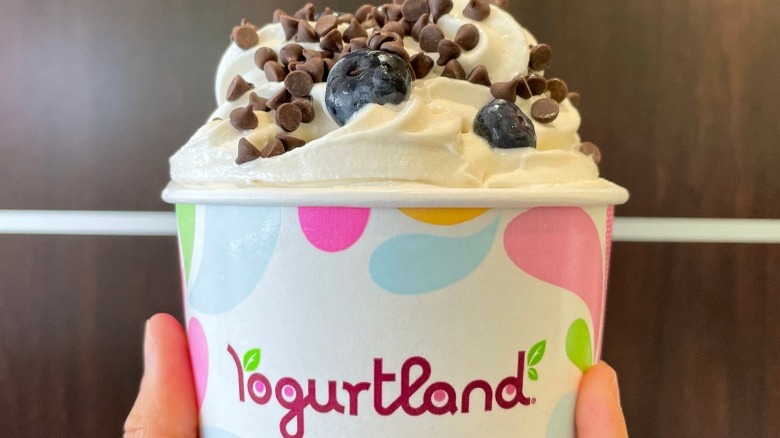 Creamy Vanilla Ice Cream