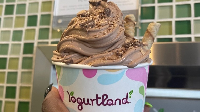 Rich Chocolate Ice Cream