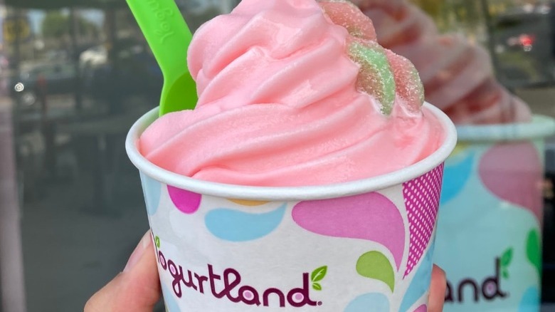 Watermelon Sorbet 