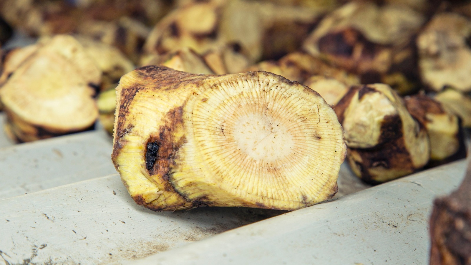 You Can Actually Drink Kava Root And Here's Why You Should