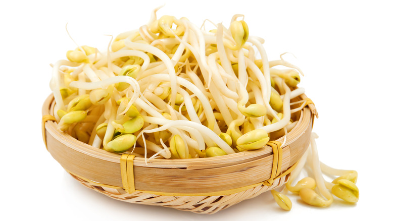 A bowl of bean sprouts