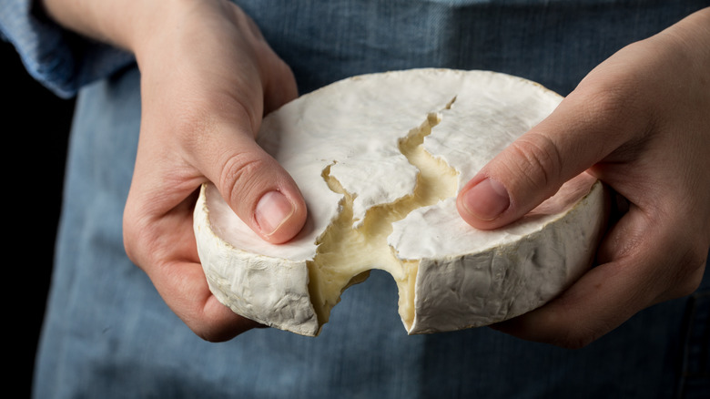 Camembert cheese wheel