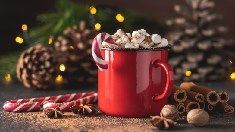 red cup of hot chocolate topped with marshmallows, candy canes and cinnamon sticks around cup with pinecones in background