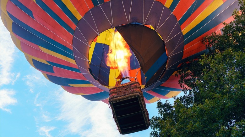 hot air balloon