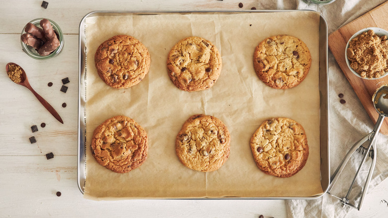 Chocolate chip cookies on a tray