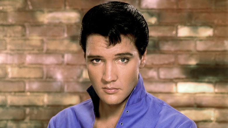 Elvis wearing a lavender shirt, standing in front of brick wall